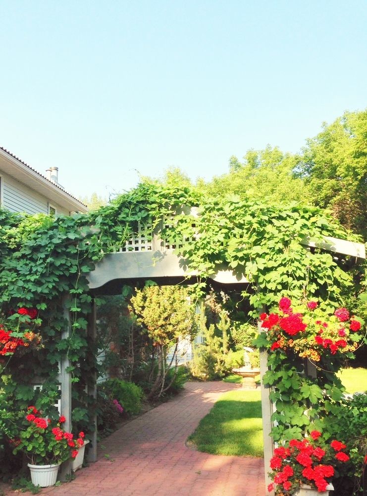 McDougall Lane Bed&Breakfast Drumheller Exterior foto